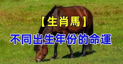 生肖屬馬|屬馬出生年份/幾多歲？屬馬性格特徵+生肖配對+2024。